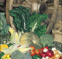Mulgowie Real Farmers Markets - Accommodation BNB