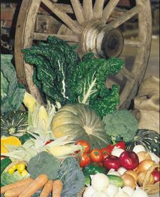 Mulgowie Real Farmers Markets - Accommodation BNB 0