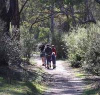 Syd's Rapids and Aboriginal Heritage Trail Avon Valley - Accommodation BNB
