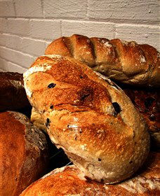 Bakehouse On Wentworth Springwood - Accommodation BNB 3