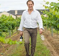 Margan Hunter Valley Wines and Restaurant - Accommodation BNB
