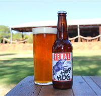 Feral Brewing Company - Accommodation BNB
