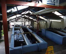 Eucumbene Trout Farm - Accommodation BNB 5