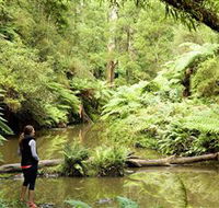 Morwell National Park - Accommodation BNB