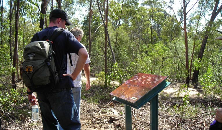 Laguna NSW Accommodation BNB