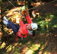 Trees Adventure Grose River Park - Accommodation BNB