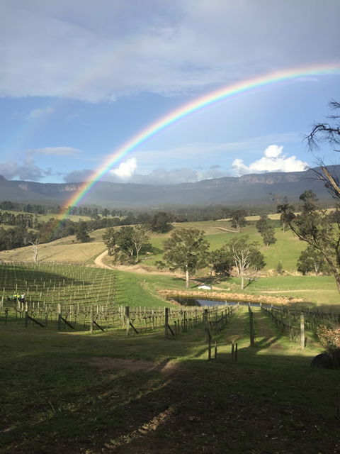 Dryridge Estate - Accommodation BNB 4