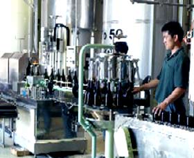 Sun Masamune Sake Brewery - Accommodation BNB 2