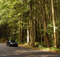 Greater Blue Mountains drive - Accommodation BNB