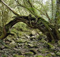 Mitchell River National Park - Accommodation BNB