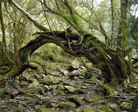 Mitchell River National Park - Accommodation BNB 0