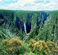 Wollomombi Falls - Accommodation BNB