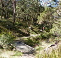 Wollomombi walking track - Accommodation BNB