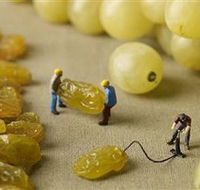 Hunter Valley Wine School - Accommodation BNB