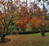 Bellbird Cottage - Accommodation BNB