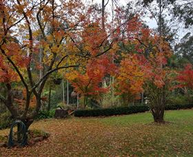 Bellbird Cottage - Accommodation BNB 0