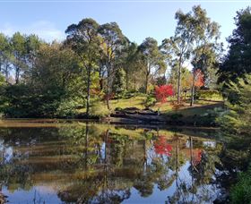 Bellbird Cottage - Accommodation BNB 1