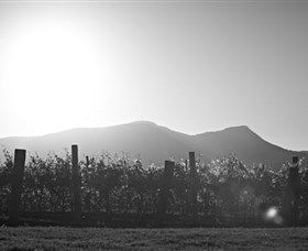 Scarborough Wine Co. - Accommodation BNB 1