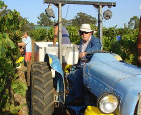 Pokolbin Brothers Wines Hunter Valley - Accommodation BNB 1