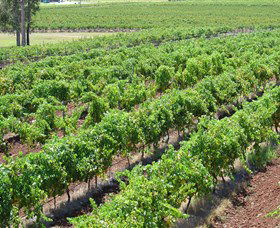 Pokolbin Brothers Wines Hunter Valley - Accommodation BNB 0