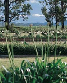 Vinden Estate Wines - Accommodation BNB 1