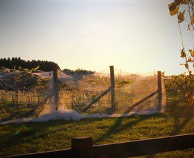 Bendooley Estate Book Barn - Accommodation BNB 2