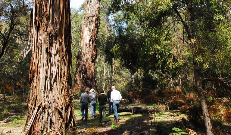 Boro NSW Accommodation BNB