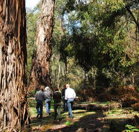 Tallaganda National Park - Accommodation BNB