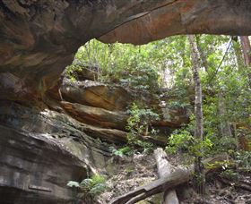 Cave Creek Walking Track - Accommodation BNB 0