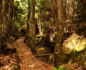 Cave Creek Walking Track - Accommodation BNB 2