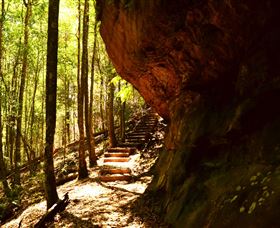 Cave Creek Walking Track - Accommodation BNB 1