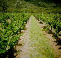 Gartelmann Wines - Accommodation BNB