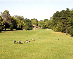 Moss Vale Golf Club - Accommodation BNB 2