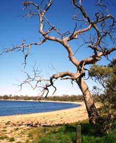 Lake Indoon - Accommodation BNB 0