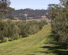 Bunna Bunoo Olive Grove - Accommodation BNB 1