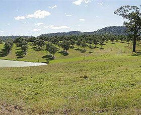 Bunna Bunoo Olive Grove - Accommodation BNB 5