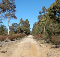 Werakata National Park - Accommodation BNB