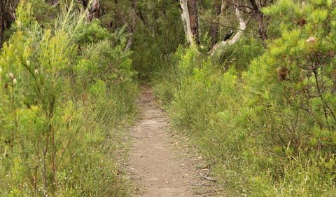 Three Views Walking Track - Accommodation BNB 0