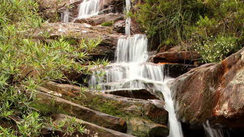 Popran National Park - Accommodation BNB 1