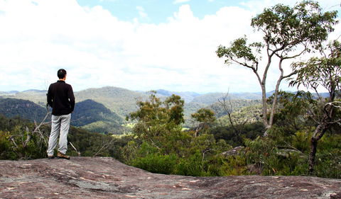 Popran National Park - Accommodation BNB 0