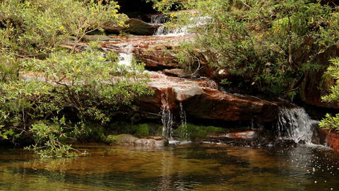 Popran National Park - Accommodation BNB 2