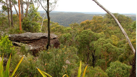 Popran National Park - Accommodation BNB 3