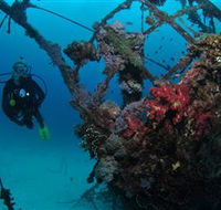 Severance Shipwreck Dive Site - Accommodation BNB
