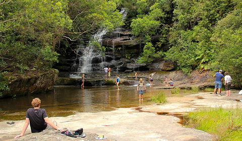Somersby Falls Picnic Area - Accommodation BNB 0