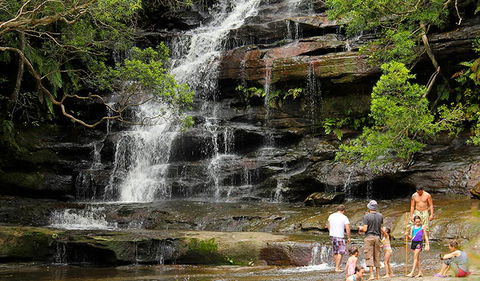 Somersby Falls Picnic Area - Accommodation BNB 2