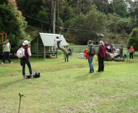 Forest Of Tranquillity - Australian Rainforest Sanctuary - Accommodation BNB 0