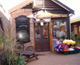 Australian Alpaca Barn - Morpeth - Accommodation BNB 0