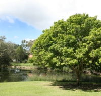 Hervey Bay Botanic Gardens - Accommodation BNB