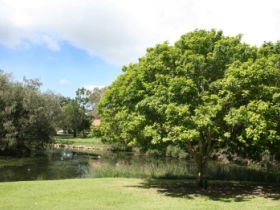 Hervey Bay Botanic Gardens - Accommodation BNB 0