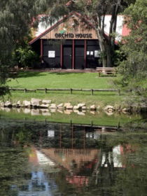 Hervey Bay Botanic Gardens - Accommodation BNB 1